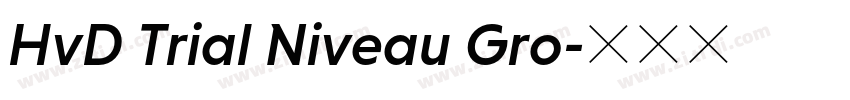 HvD Trial Niveau Gro字体转换